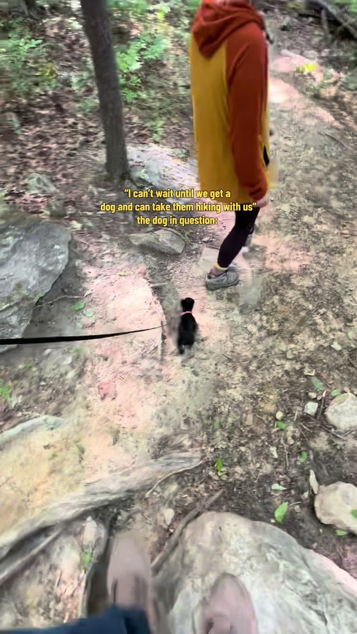 Red River Gorge
