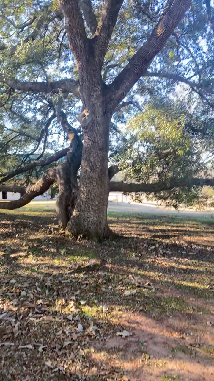 Redcliffe Plantation State Historic Site
