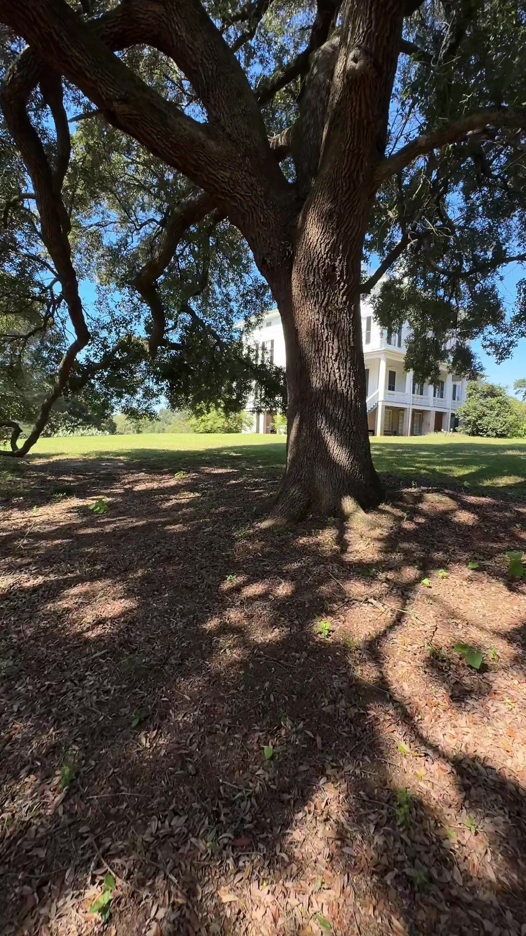 Redcliffe Plantation State Historic Site