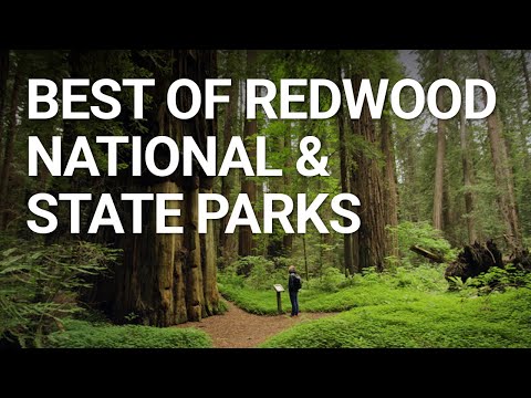 Redwood National and State Parks, CA