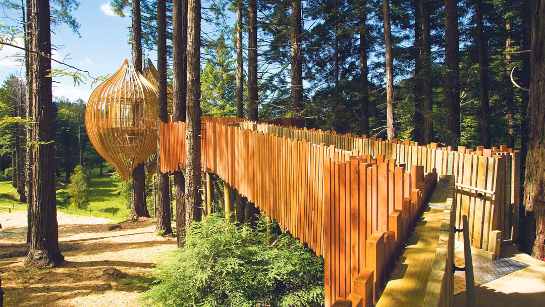 Picture for Redwoods Treehouse