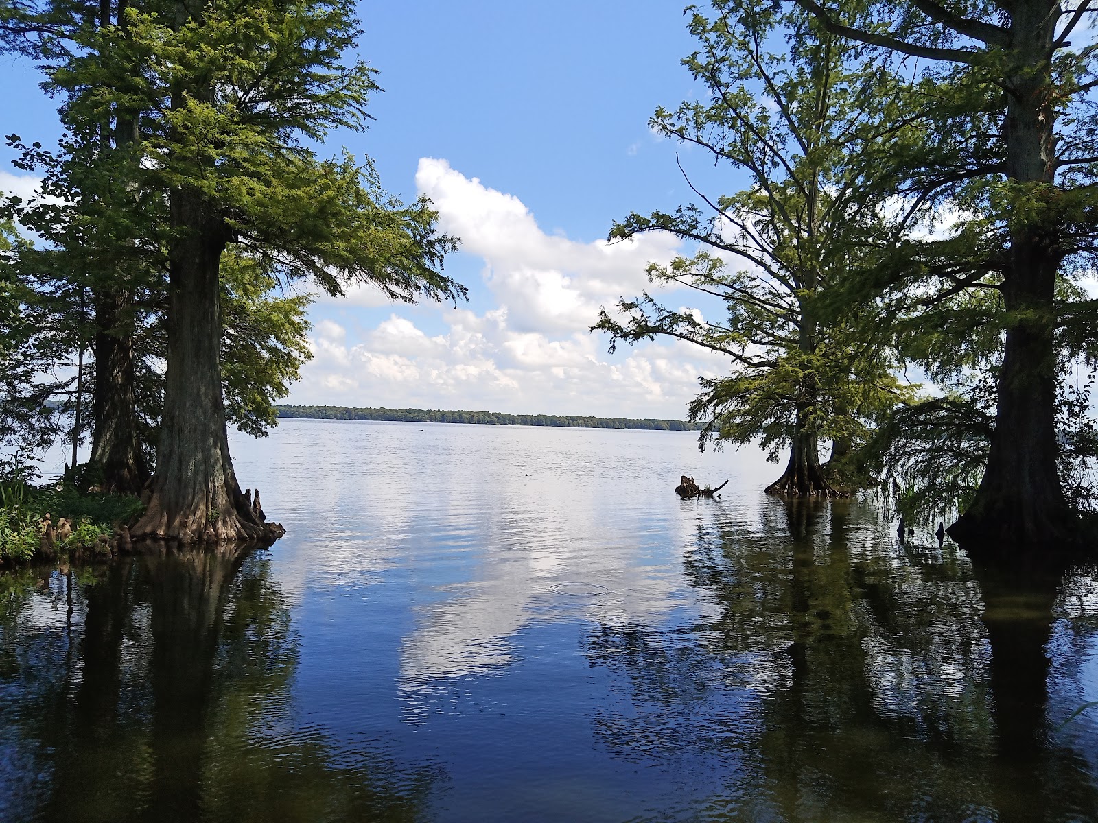 Reelfoot Lake