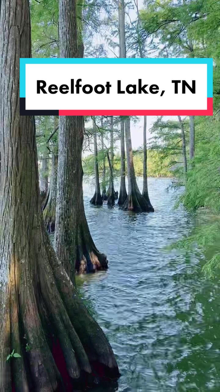 Reelfoot Lake