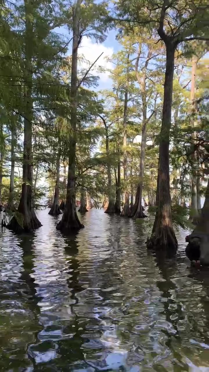 Reelfoot Lake