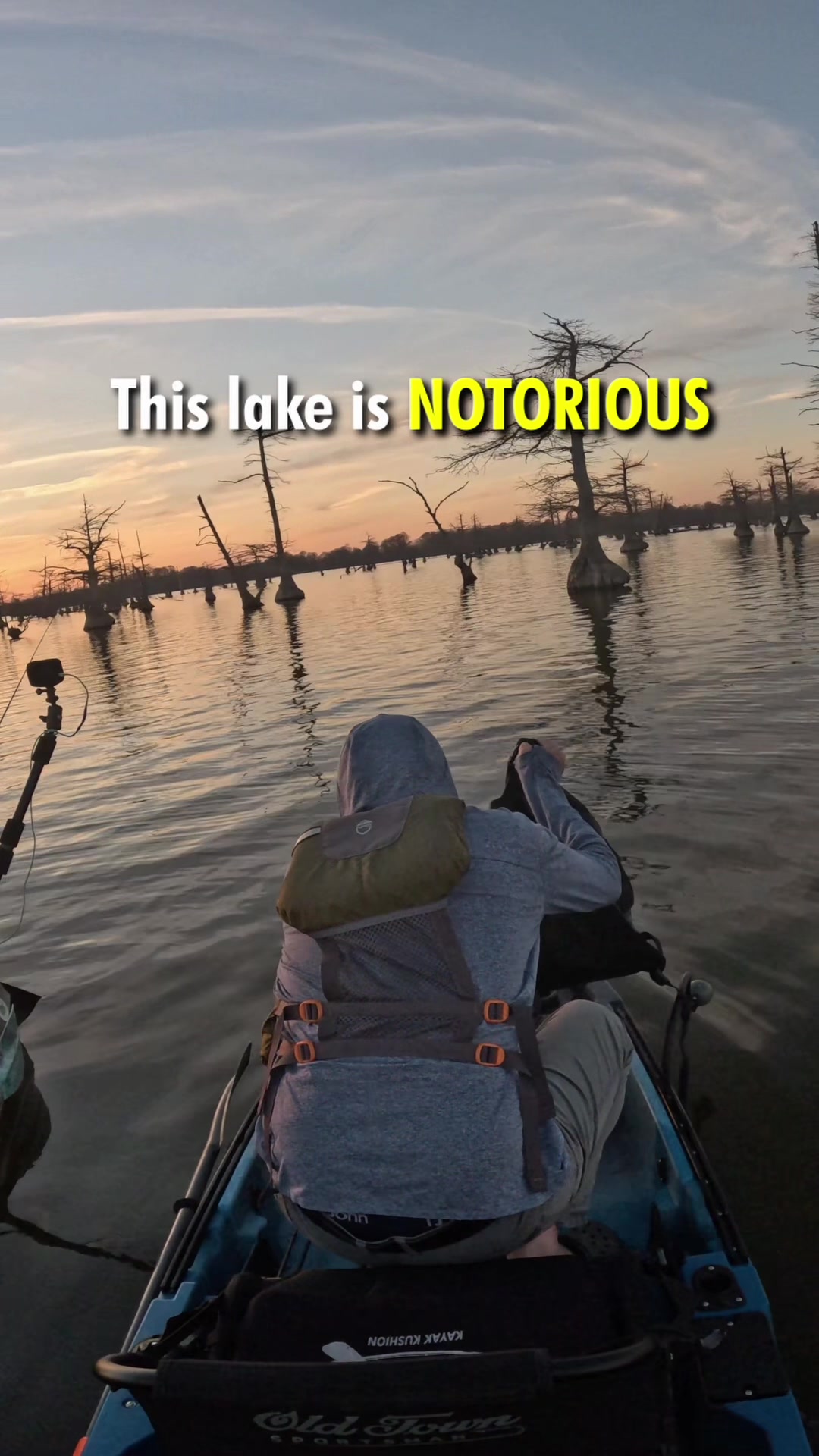 Reelfoot Lake