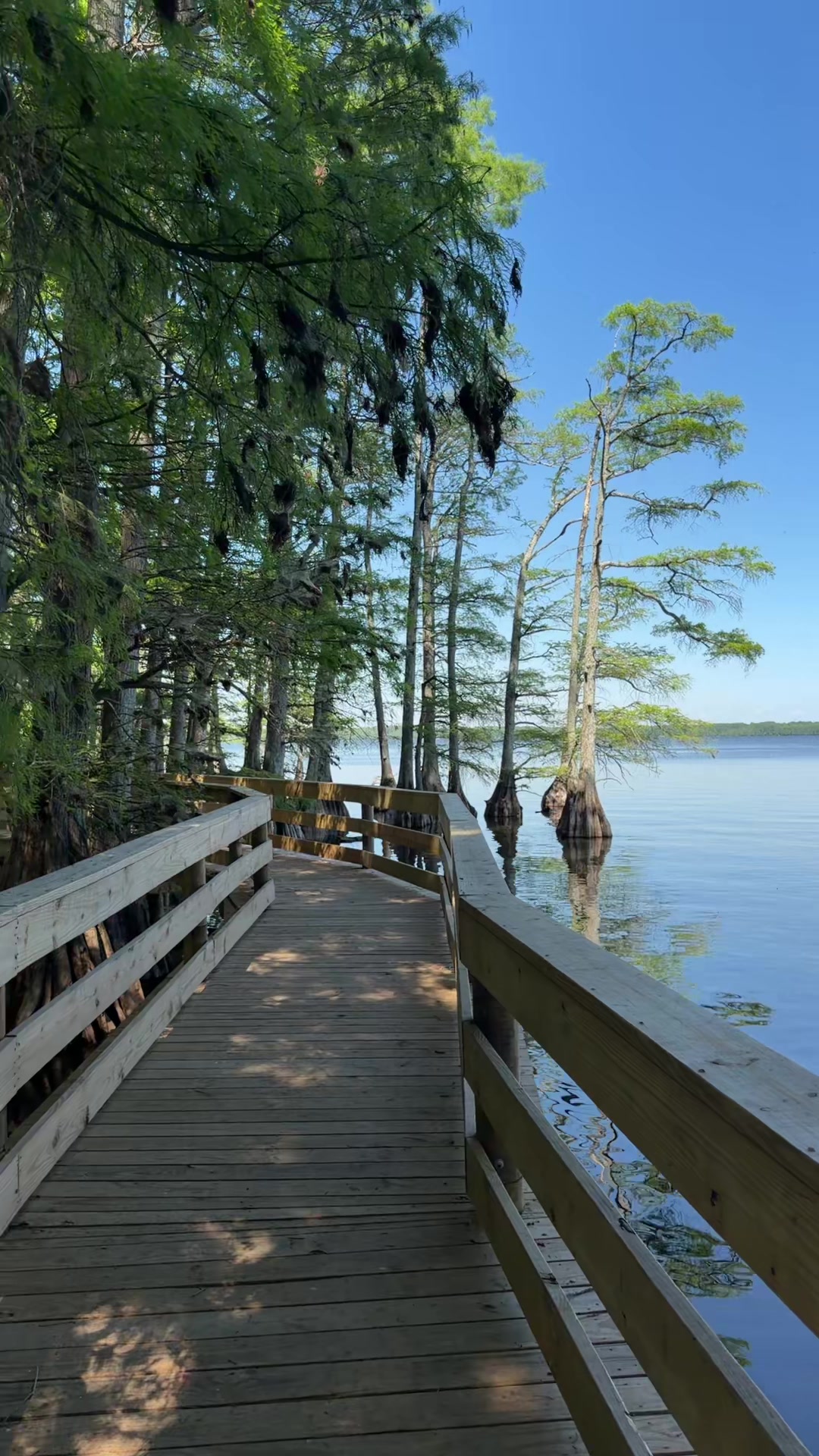 Reelfoot Lake