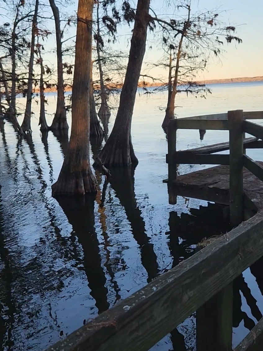 Reelfoot Lake