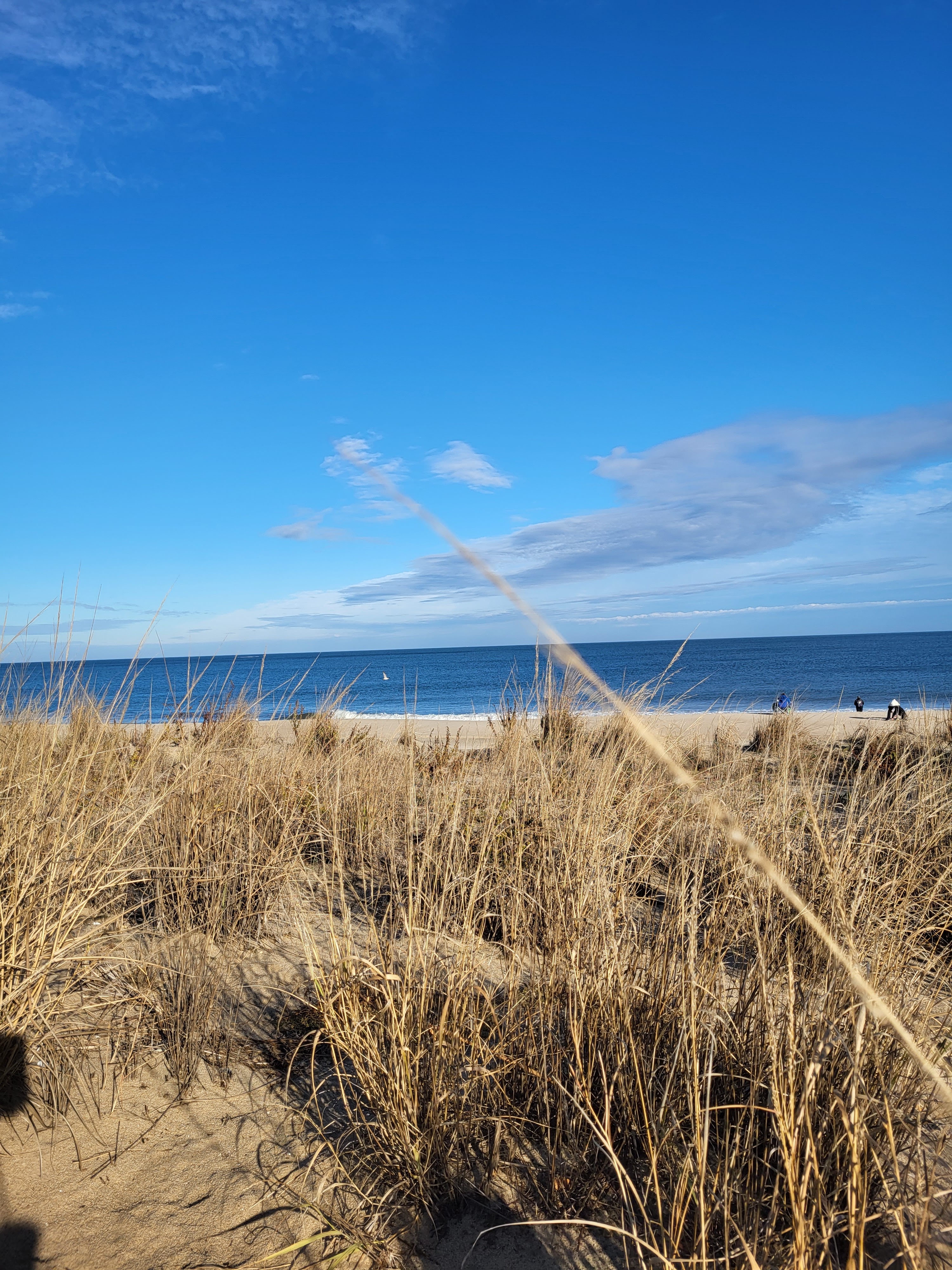 Delaware to Maine Road Trip Itinerary