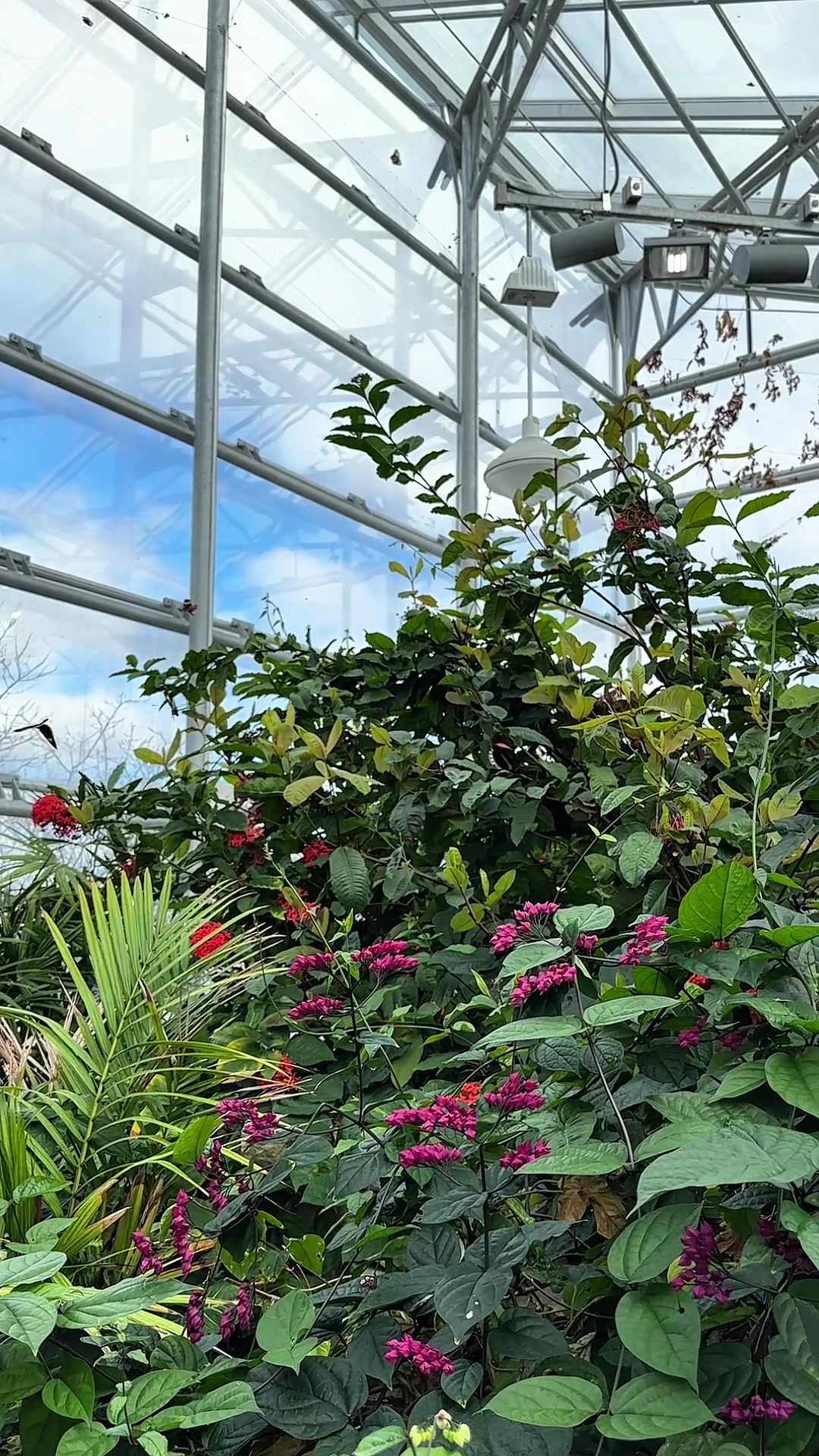 Reiman Gardens