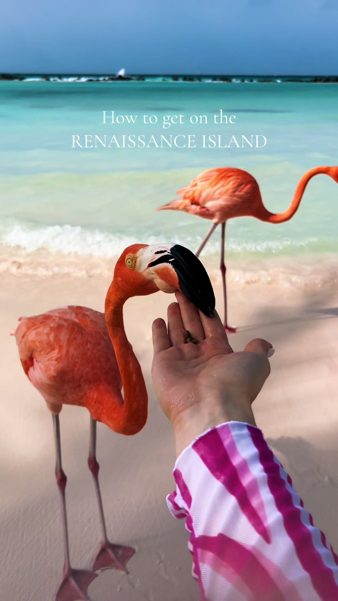Renaissance Island