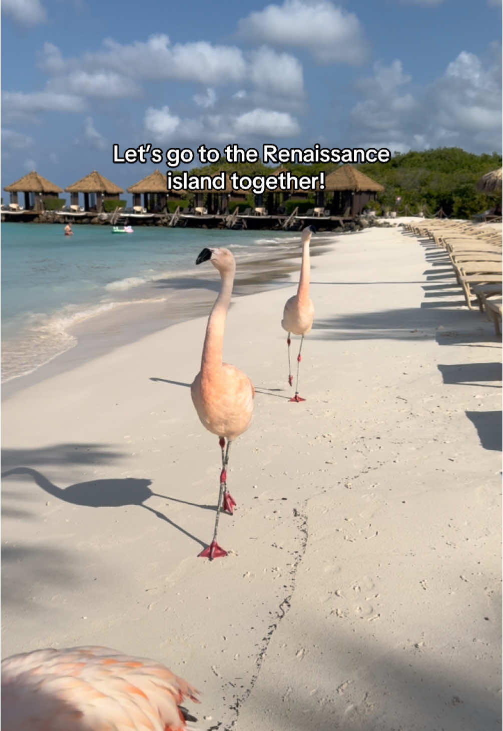 Renaissance Island