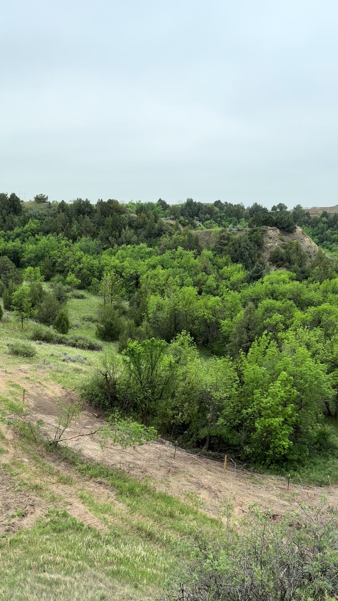 Rendezvous Region Scenic Backway