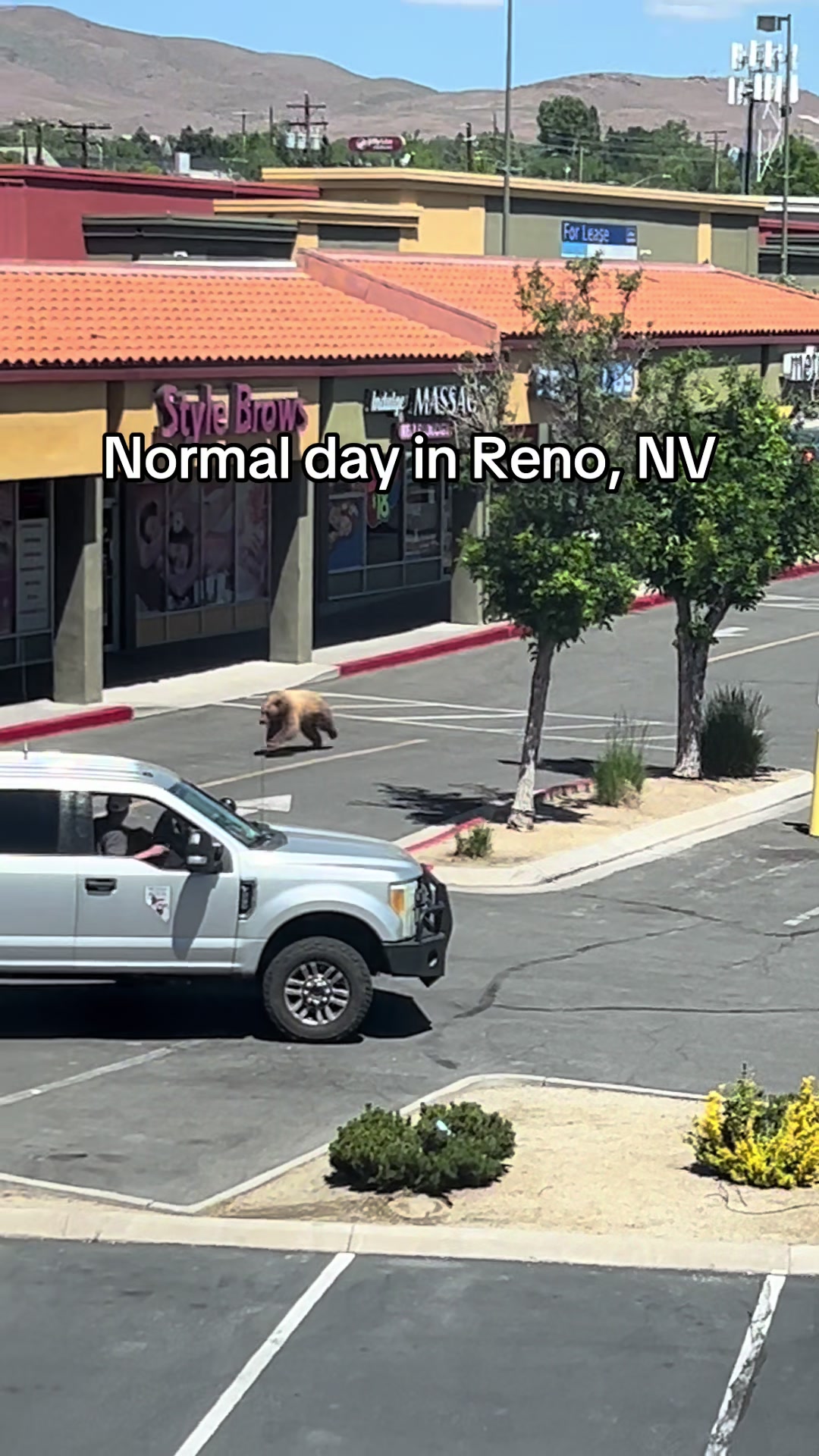 Reno
