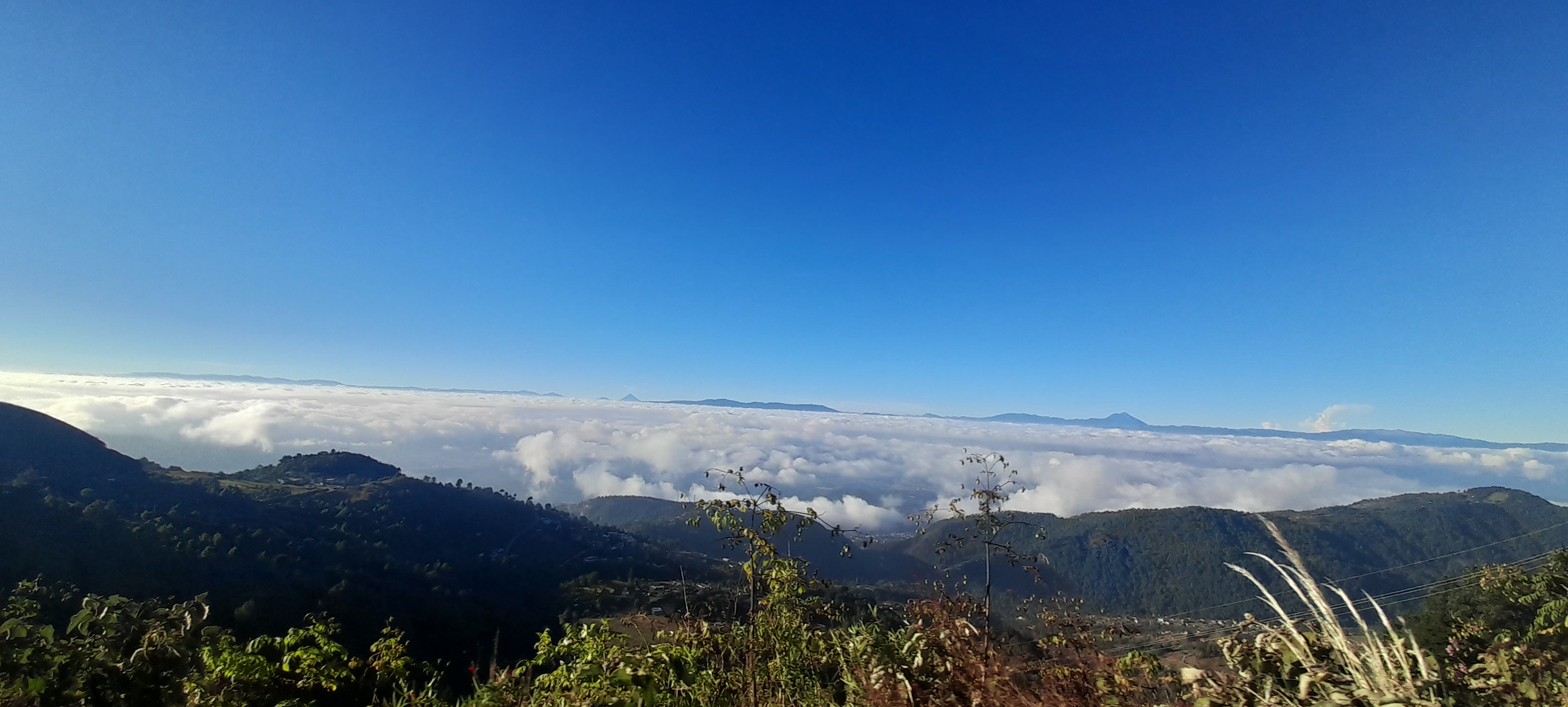 Picture for La Casa de los Sabores