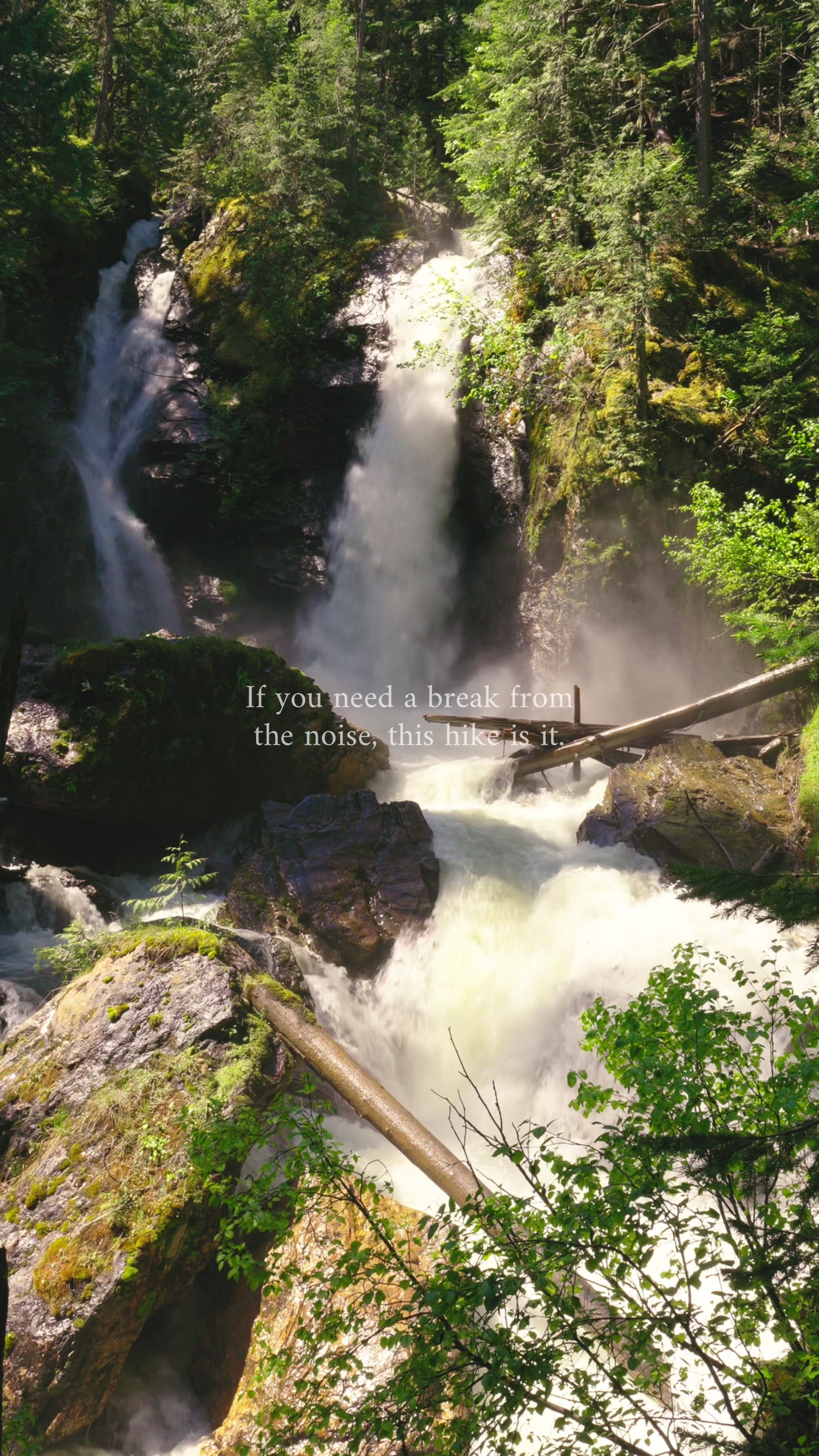 Revelstoke