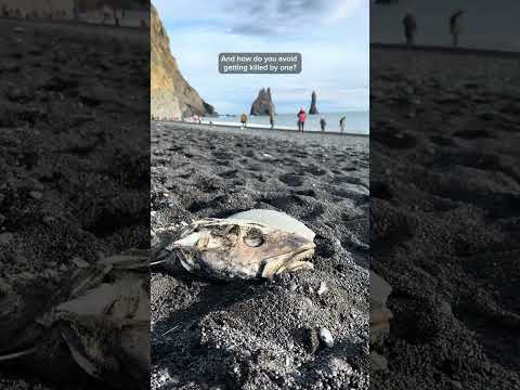 Reynisfjara Black Sand Beach