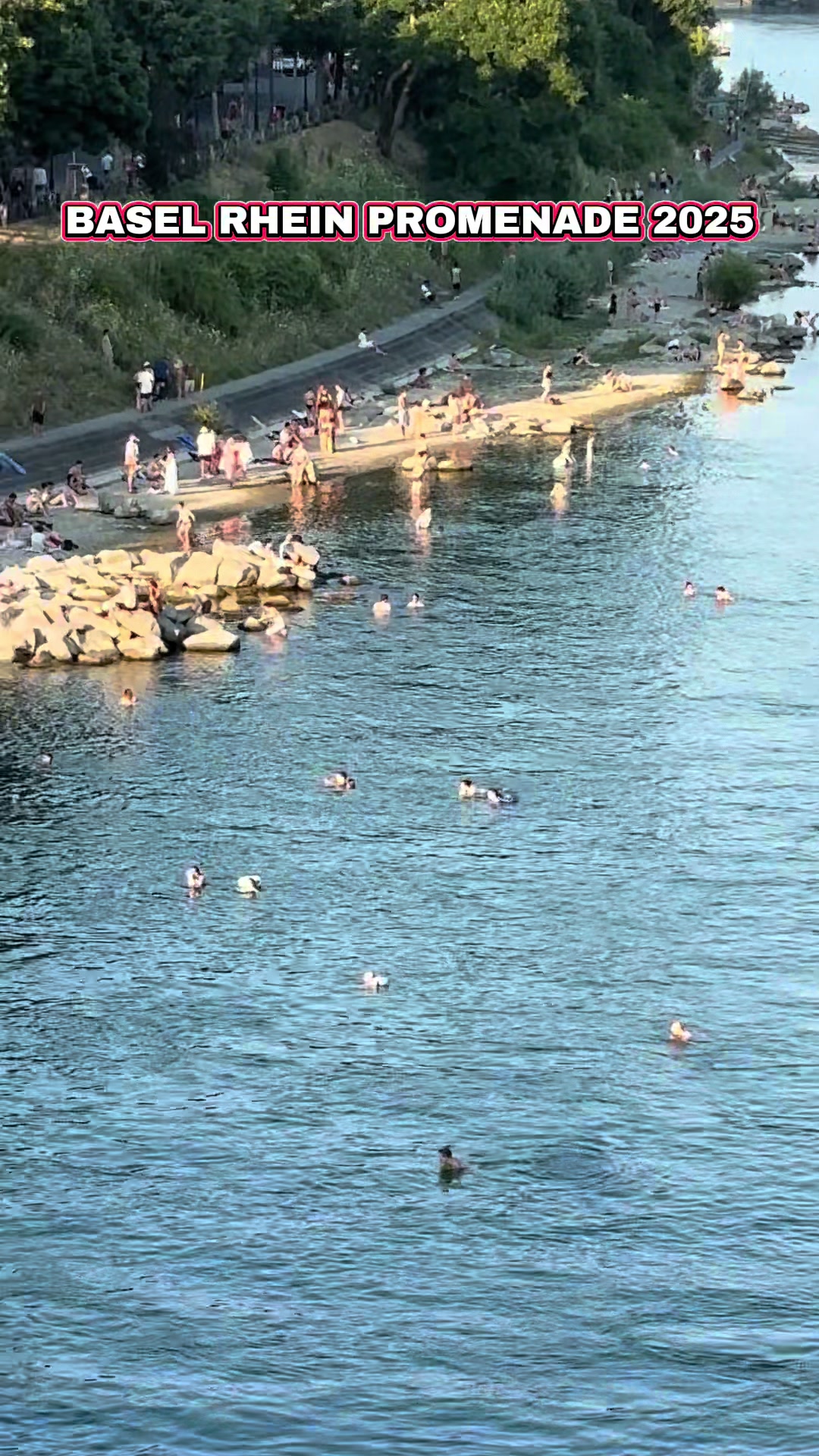 Rhine Promenade (Rheinufer)