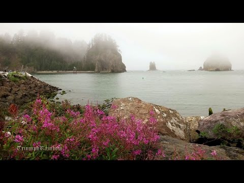 Rialto Beach