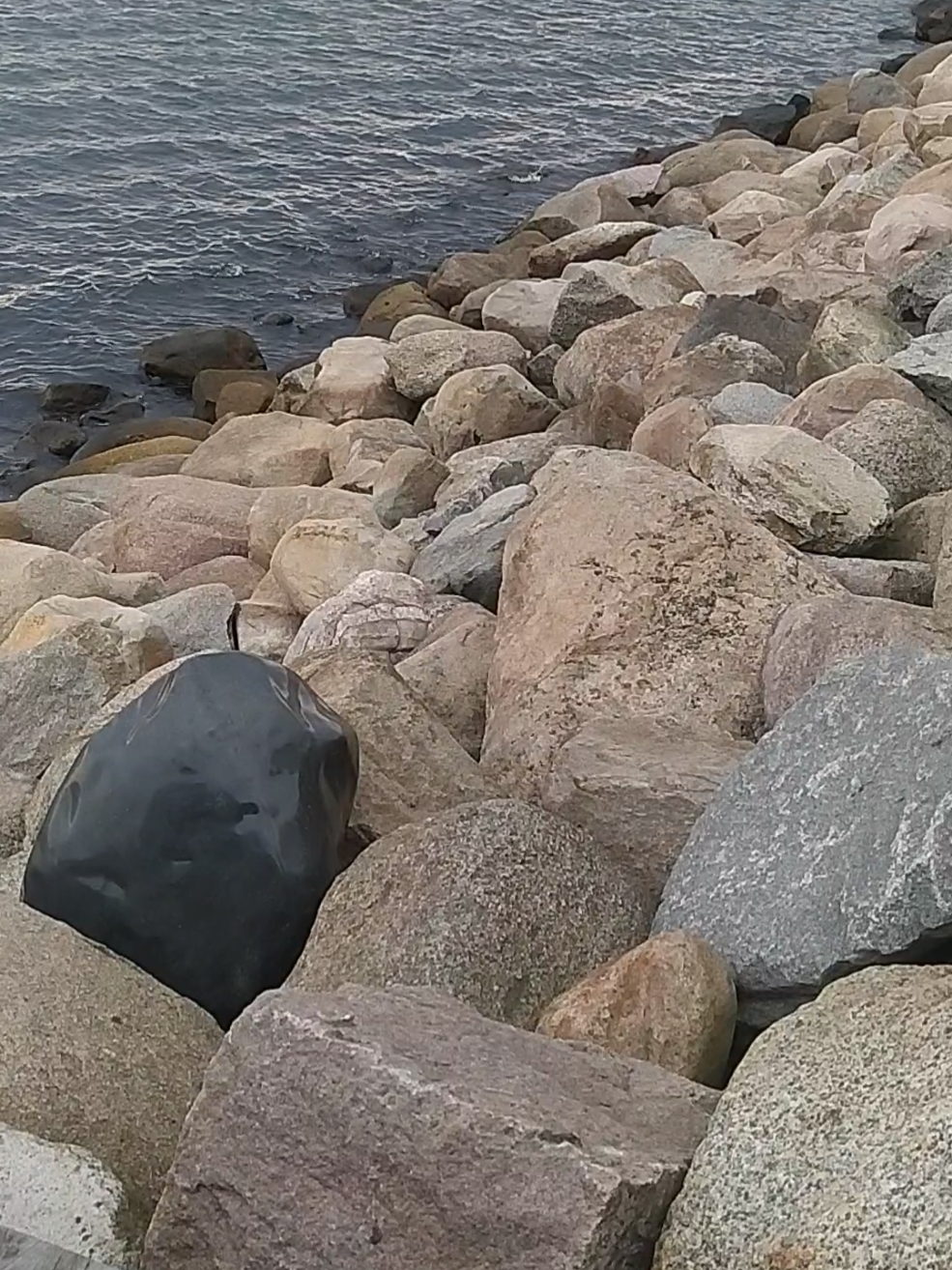 Ribersborgsstranden (Пляж Риберсборг, Мальмё)