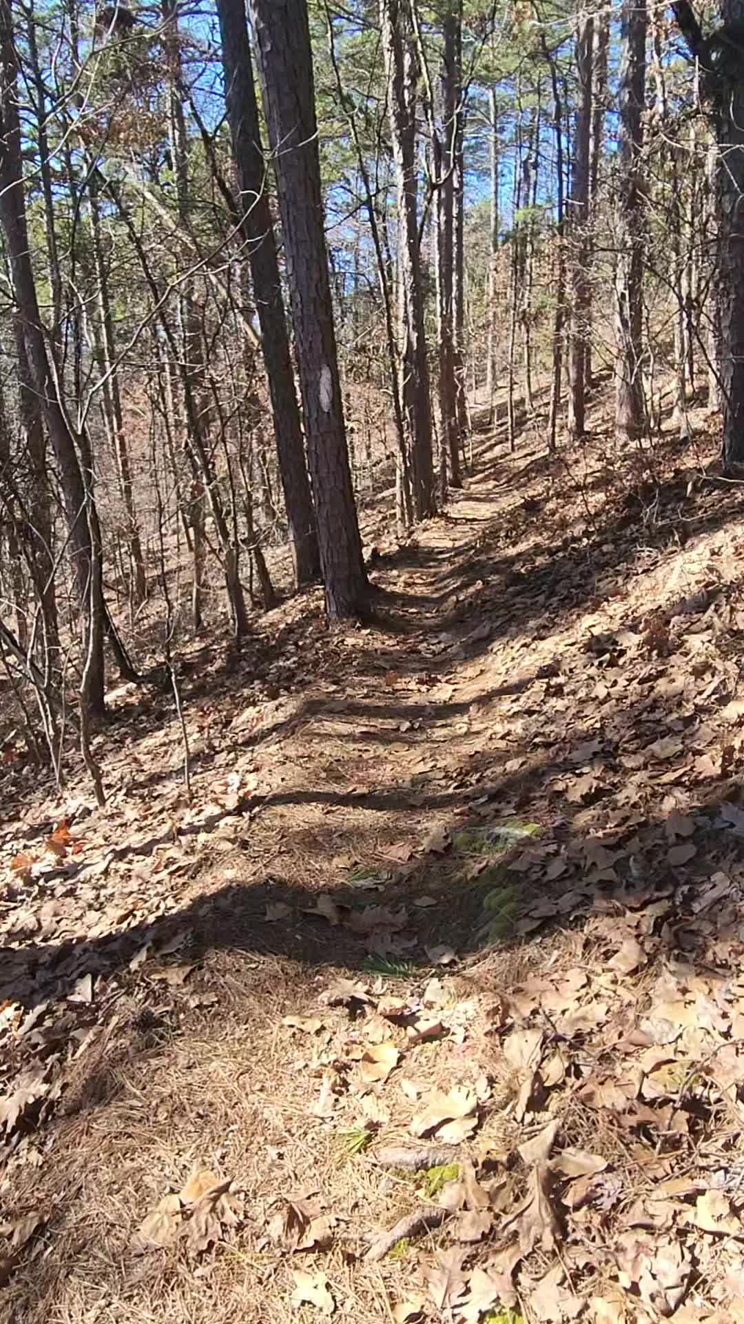 Rich Mountain