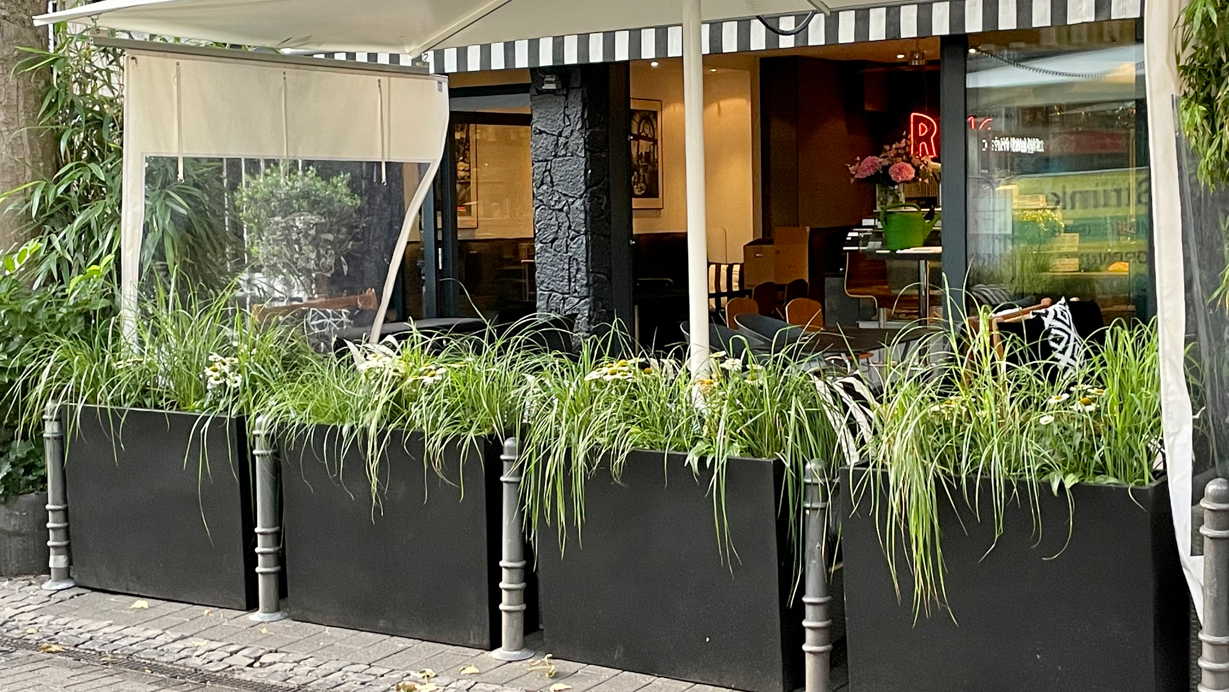 תמונה עבור Café Rico