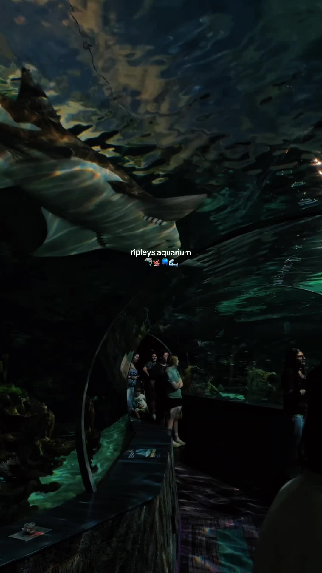 Ripley's Aquarium of Canada