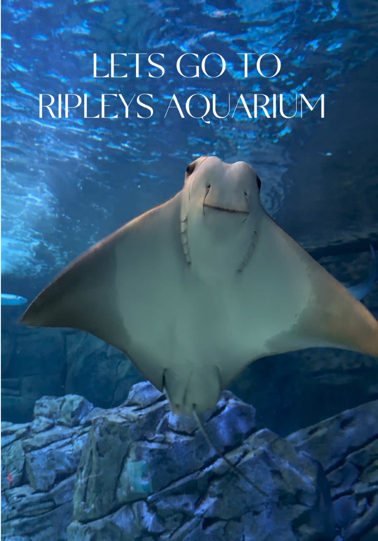 Ripley's Aquarium of Canada