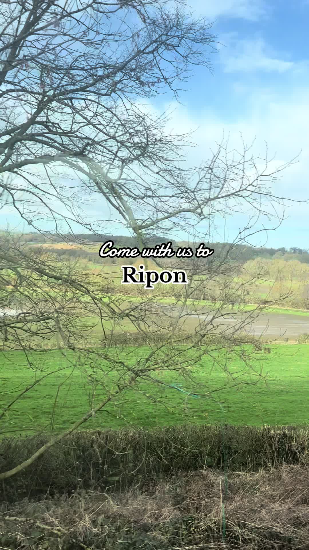 Ripon