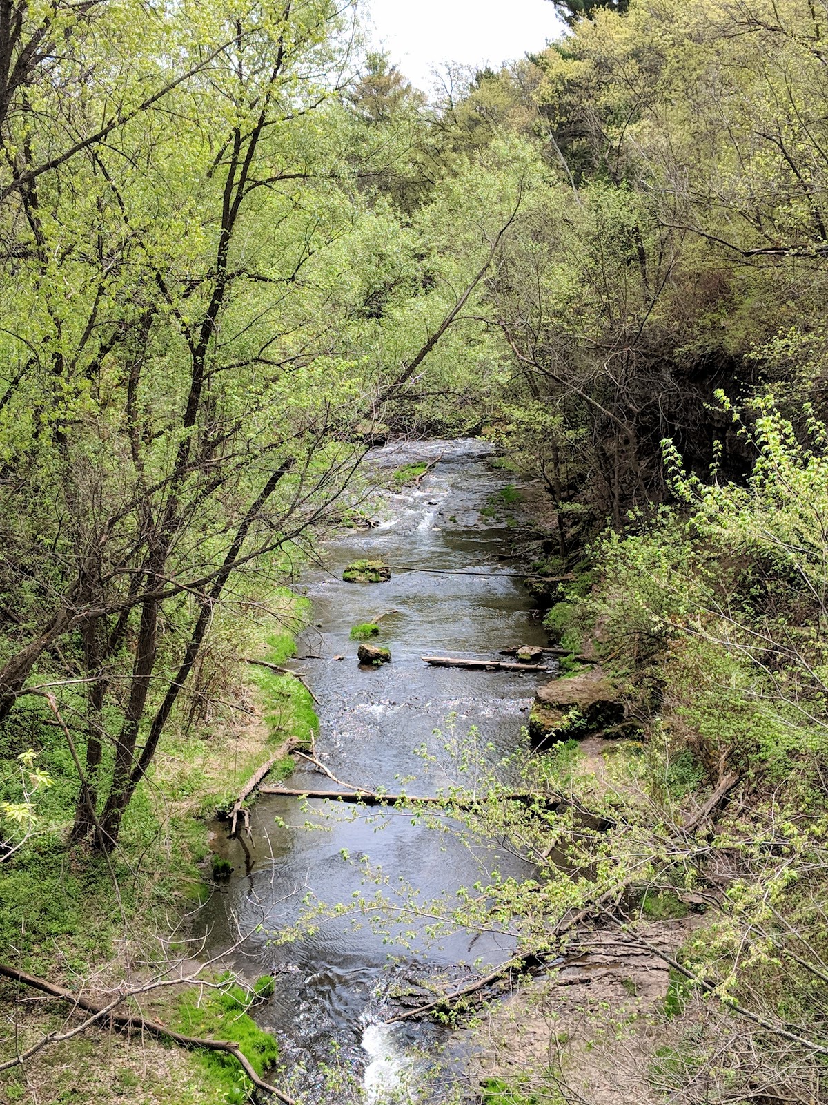 River Falls, WI