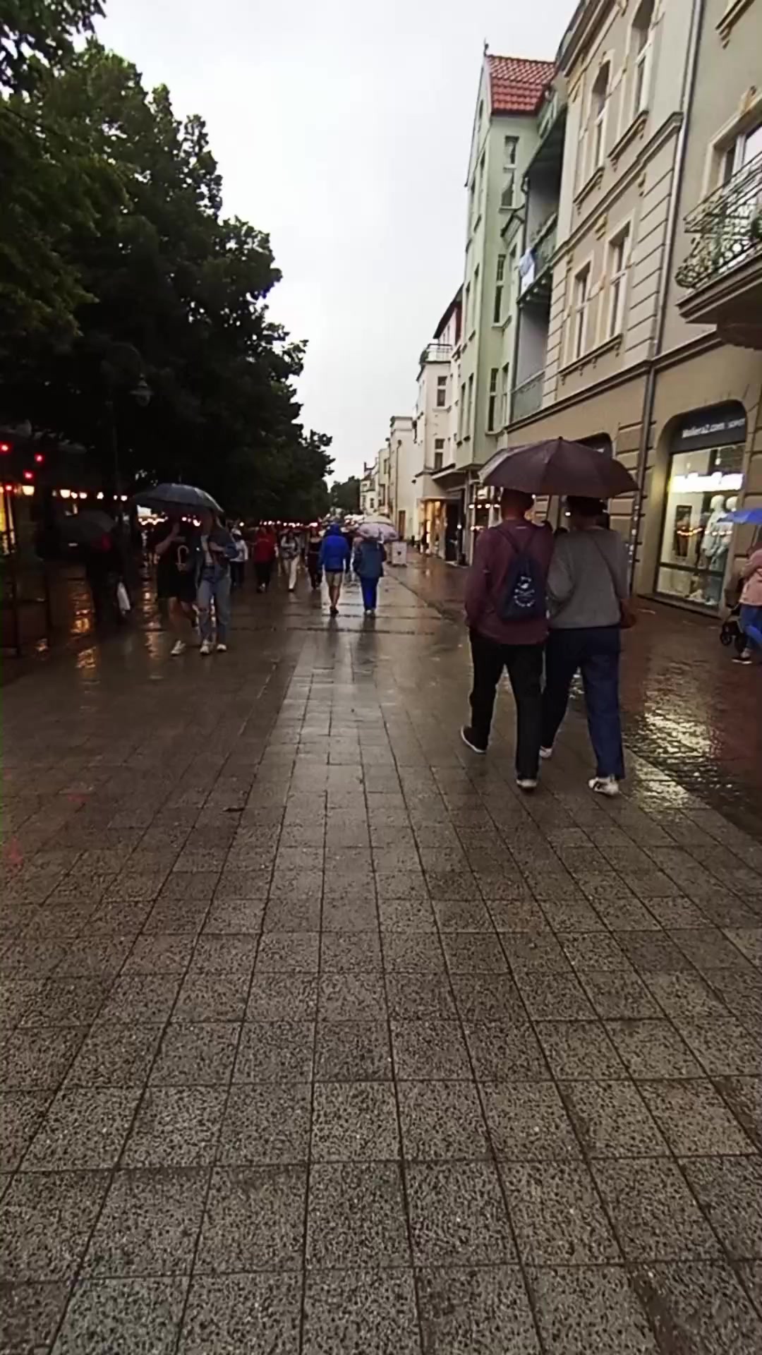 רחוב בוהאטרוב מונטה קאסינו