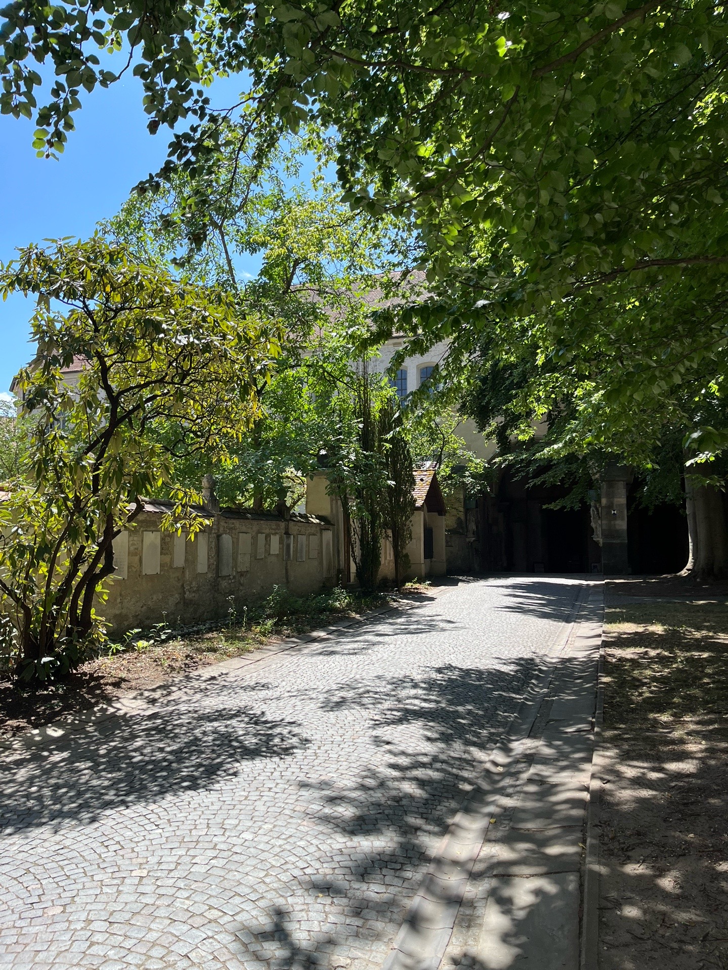ארמון תורן וטקסיס – סנט אמרם (Schloss St. Emmeram)