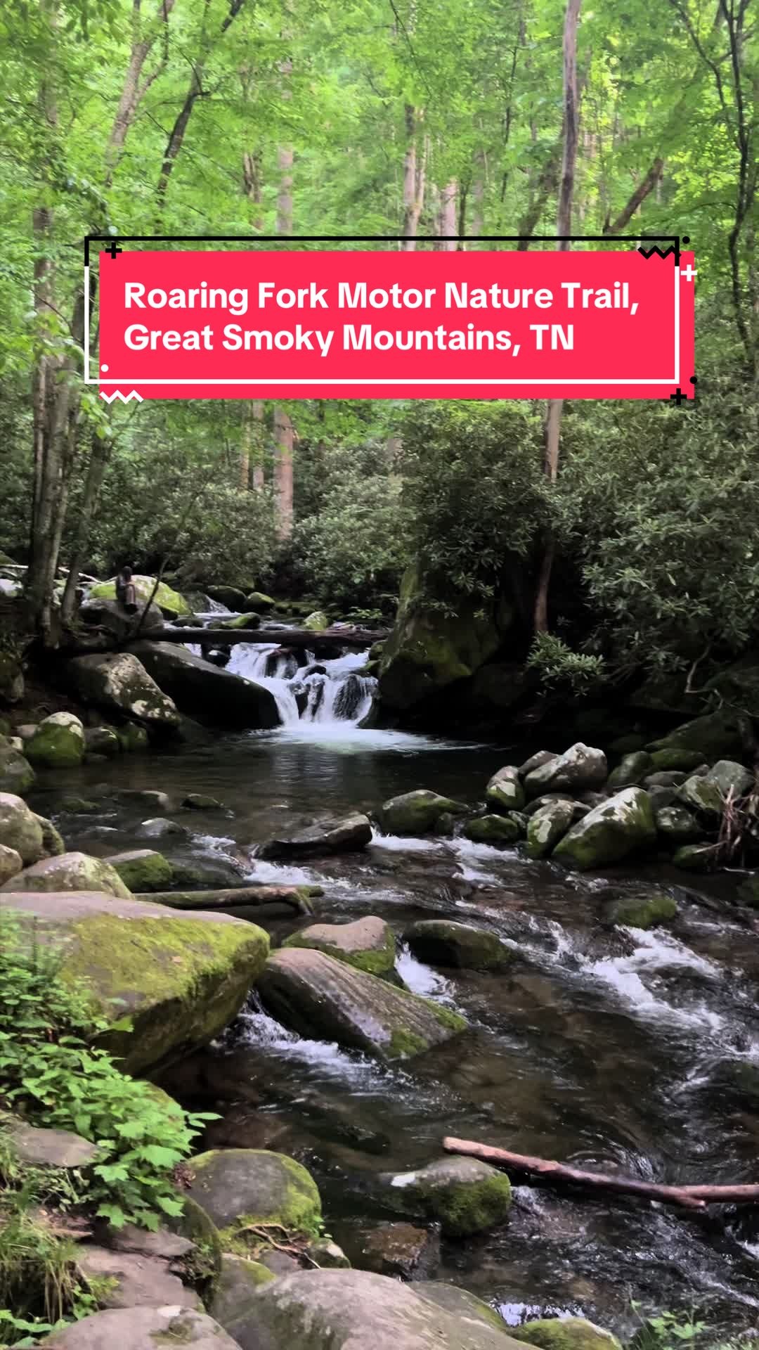 Roaring Fork Motor Nature Trail (Great Smoky Mountains National Park)