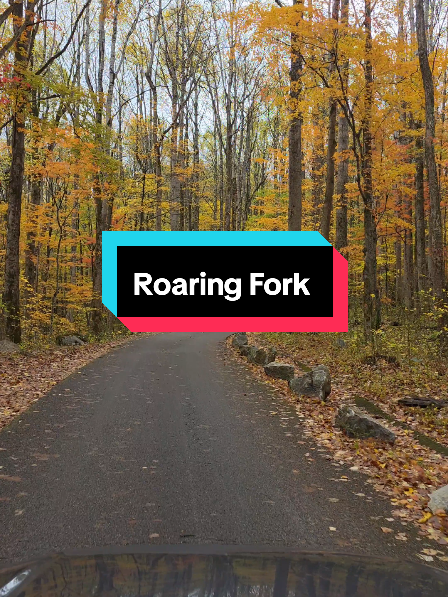 Roaring Fork Motor Nature Trail (Trailhead)