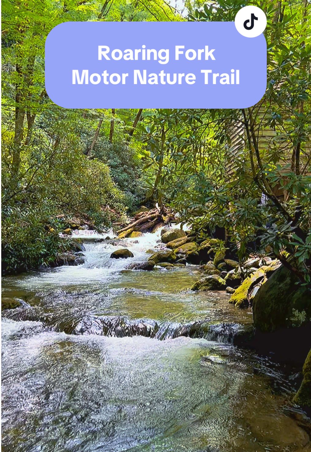Roaring Fork Motor Nature Trail (Trailhead)