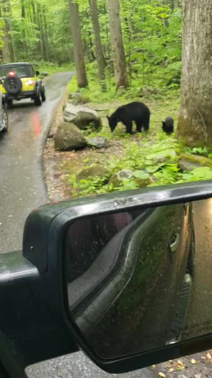Roaring Fork Motor Nature Trail (Trailhead)