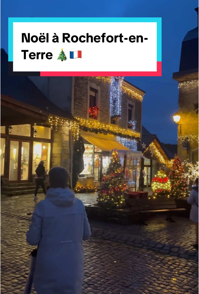 Rochefort-en-Terre (flowered village)
