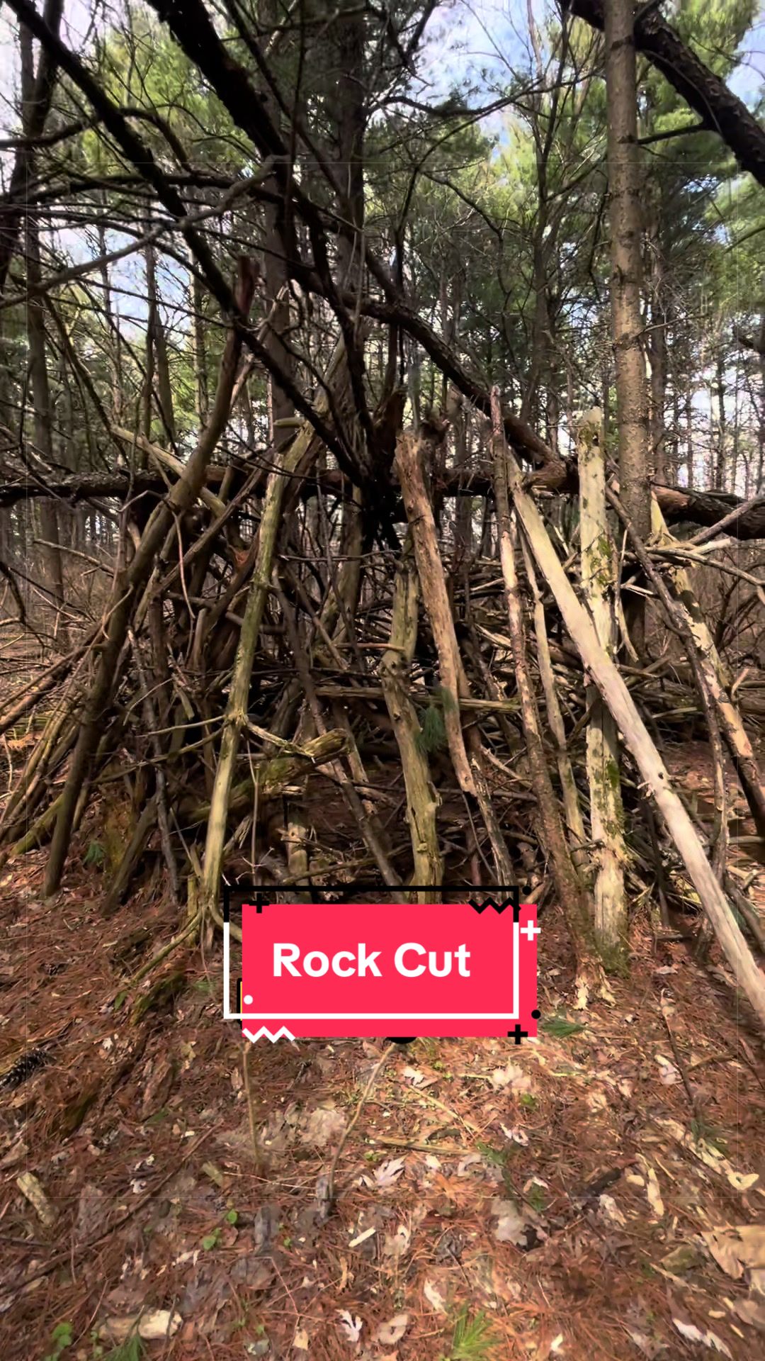 Rock Cut State Park