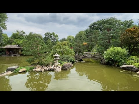 Rockford Anderson Japanese Gardens