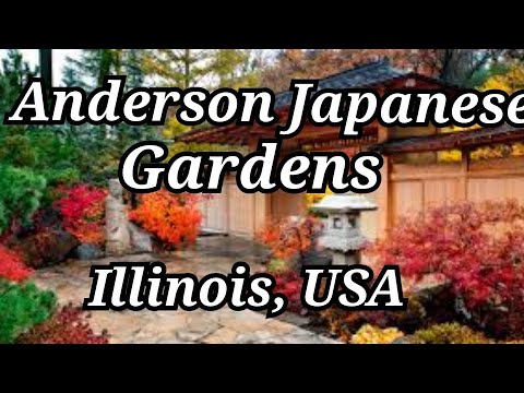 Rockford Anderson Japanese Gardens