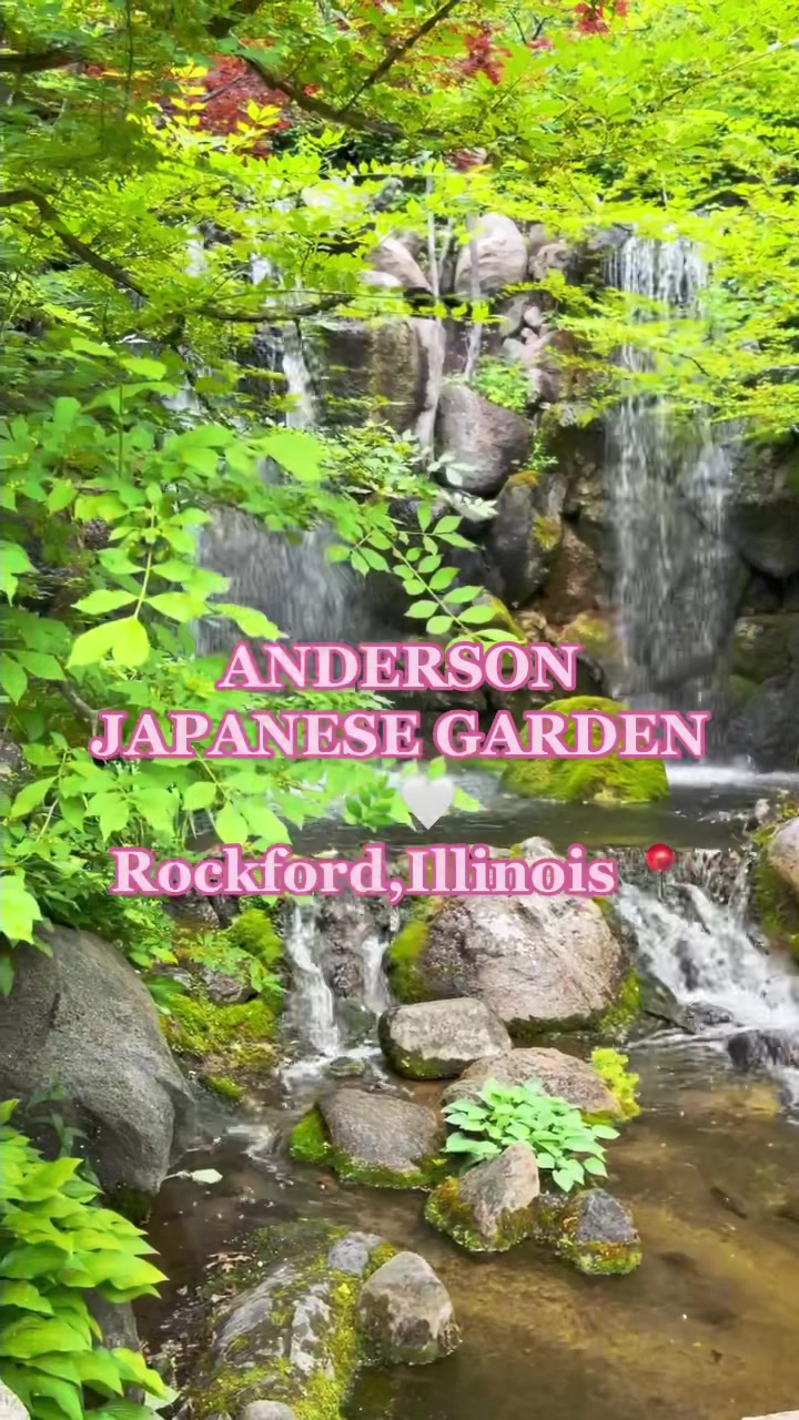 Rockford Anderson Japanese Gardens