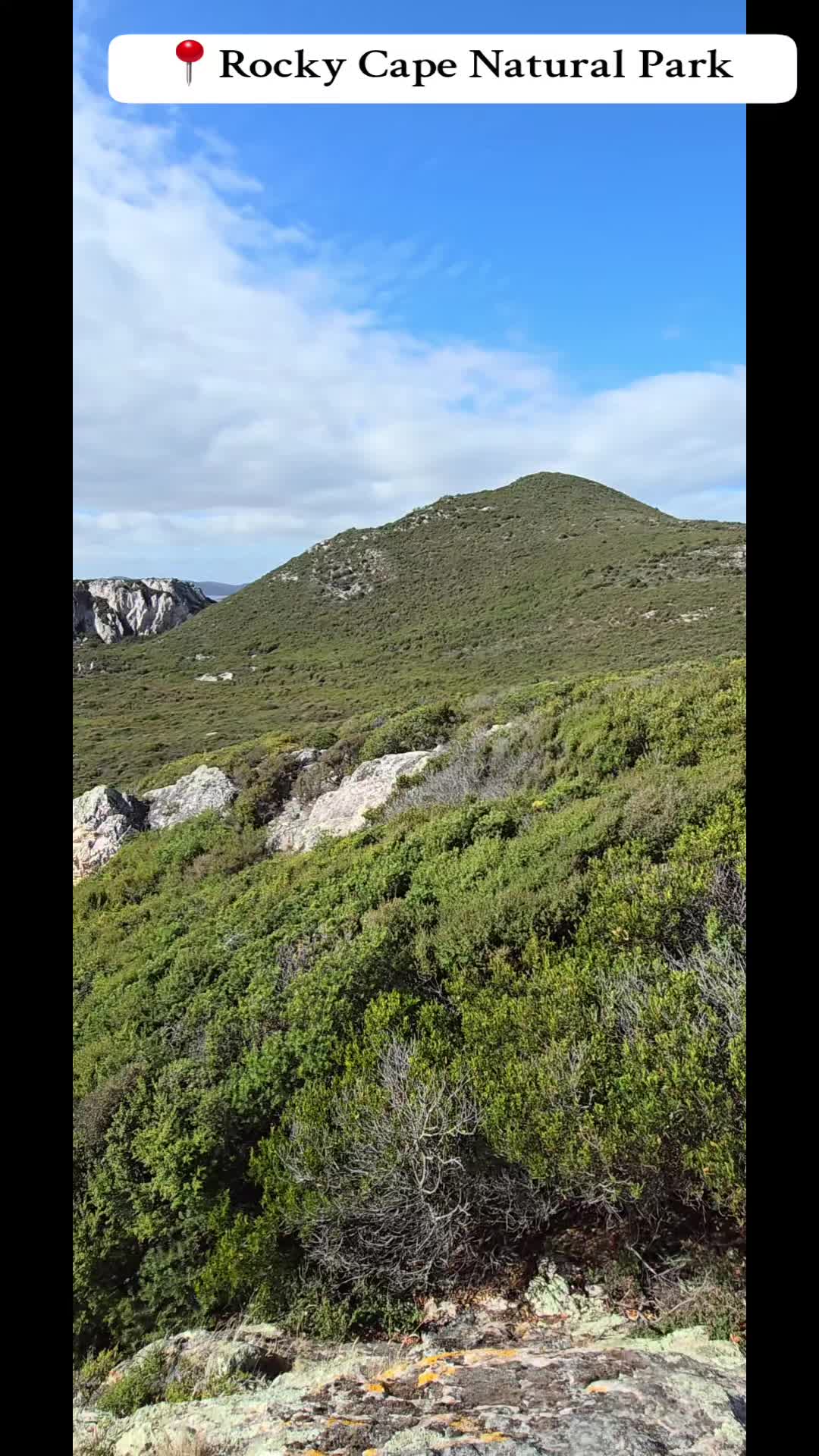 Rocky Cape National Park