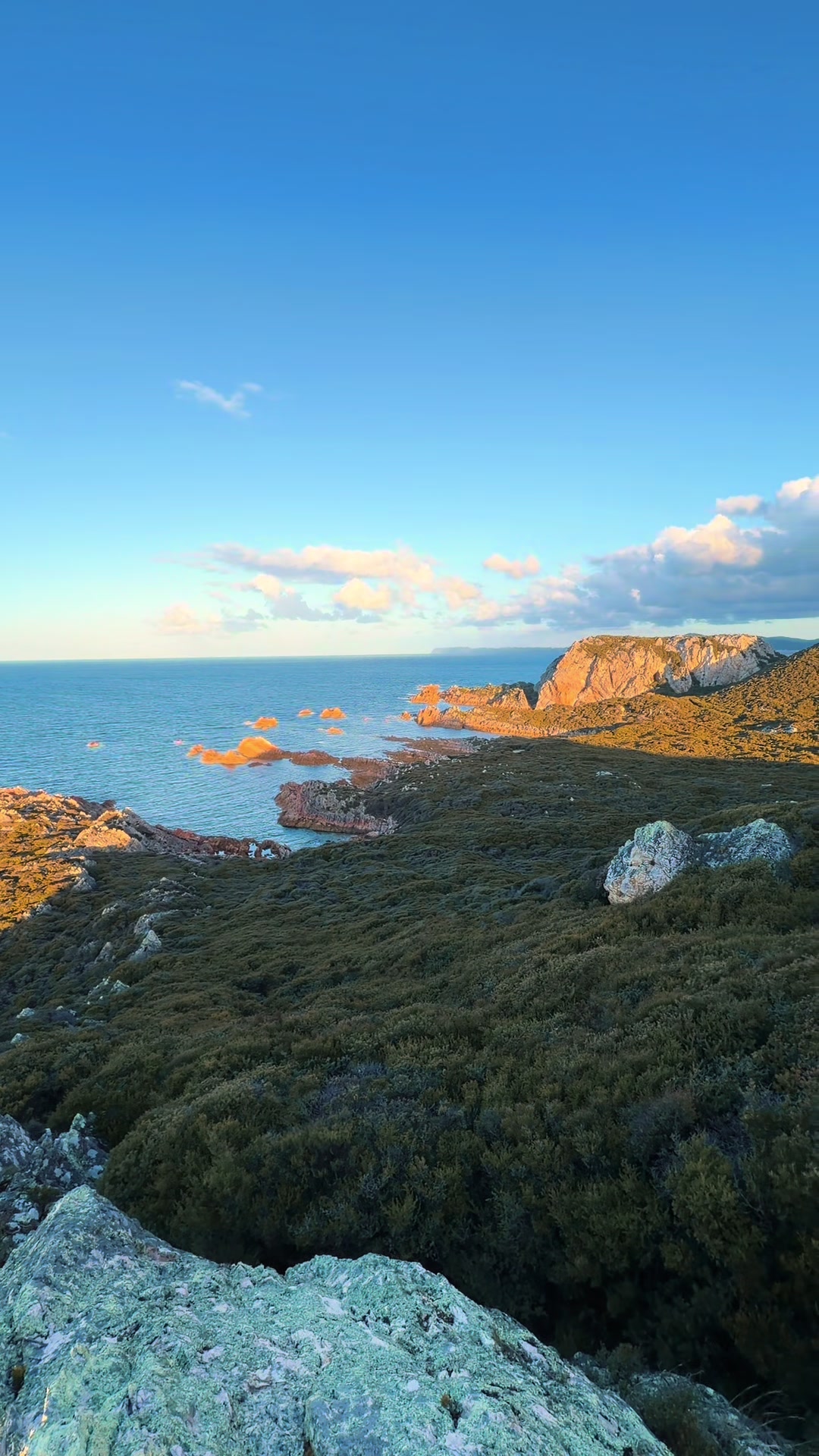 Rocky Cape National Park