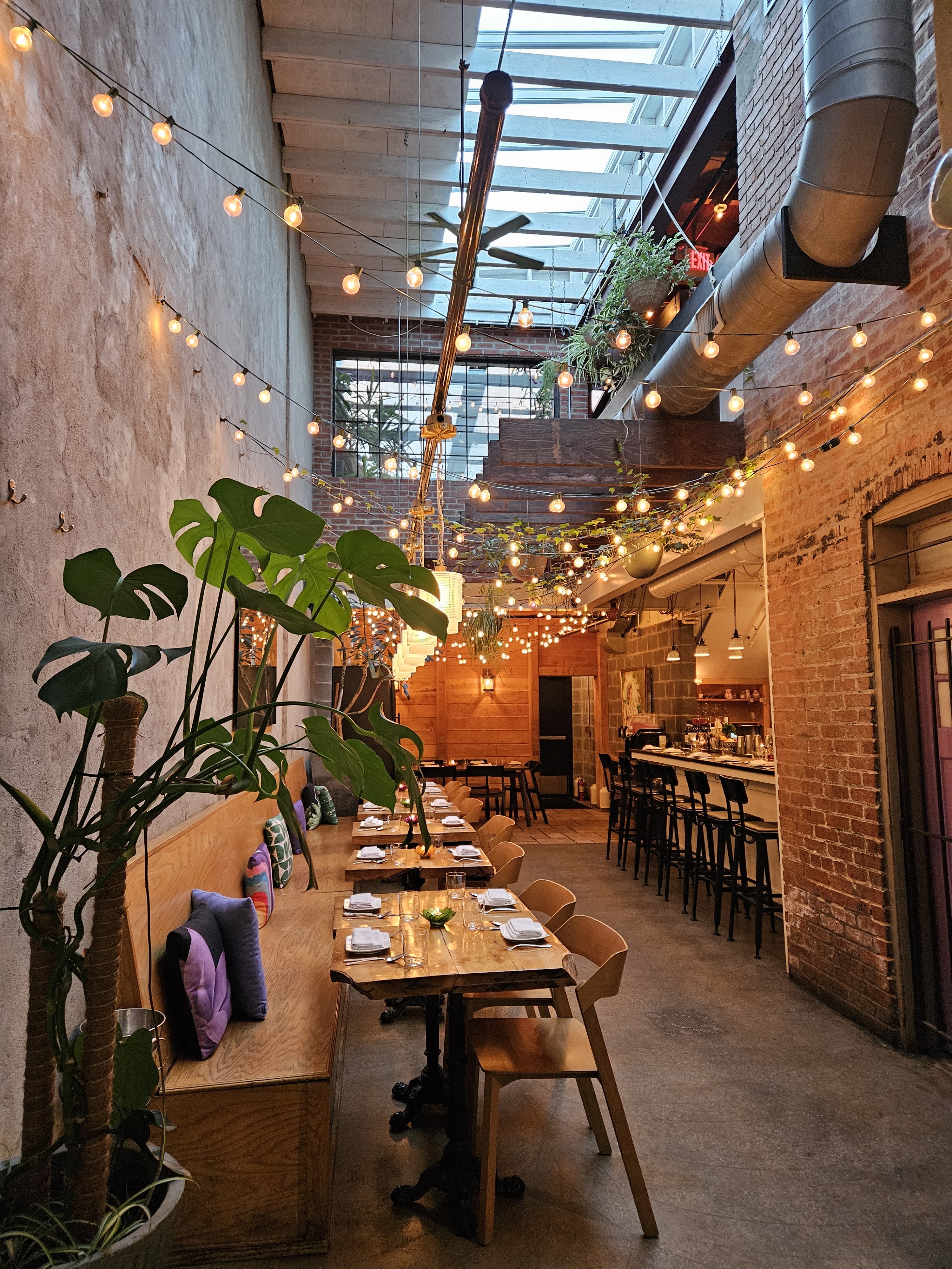 תמונה עבור Rose’s Luxury