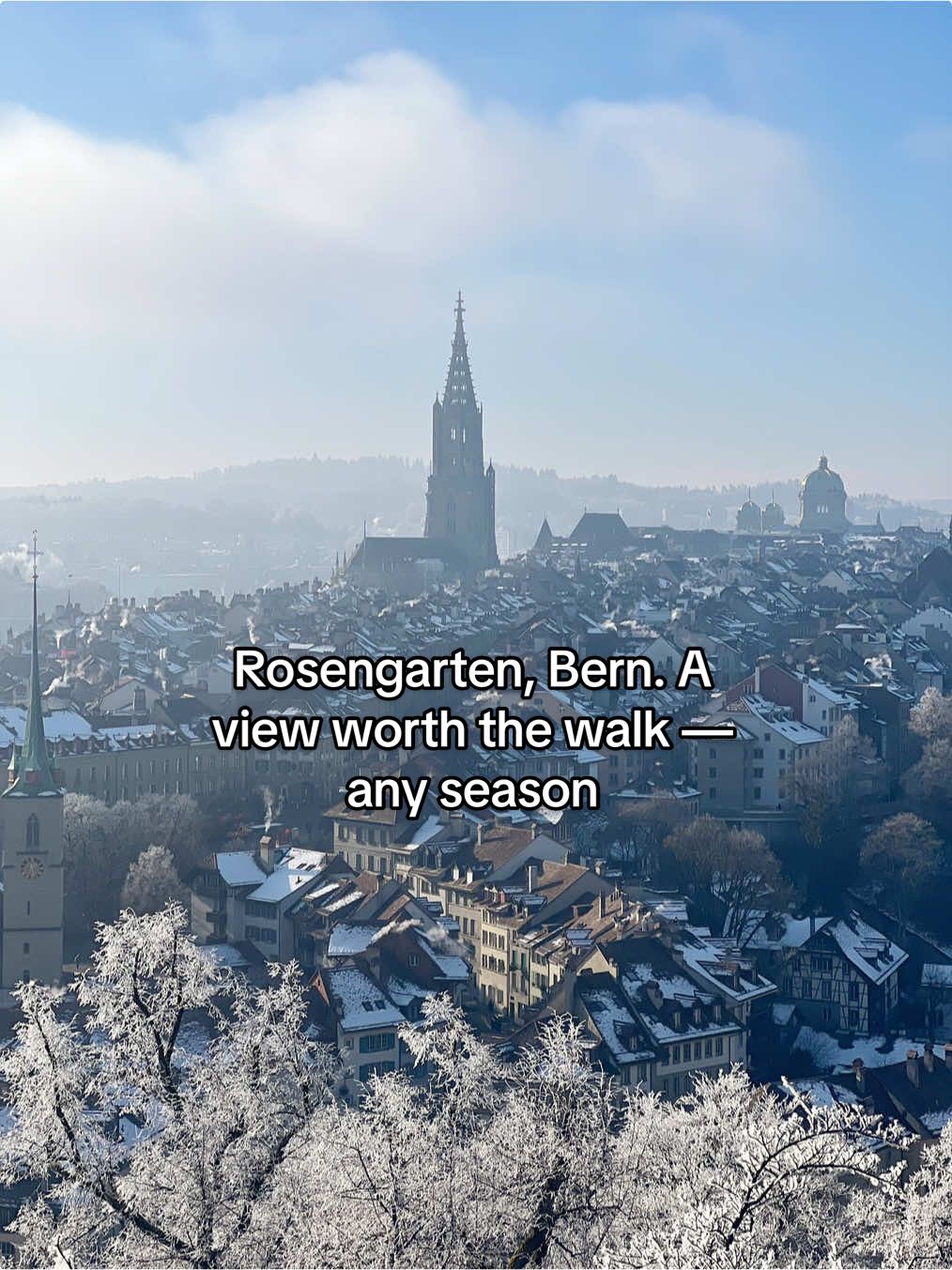 Rosengarten (גן הוורדים) עם תצפית על העיר