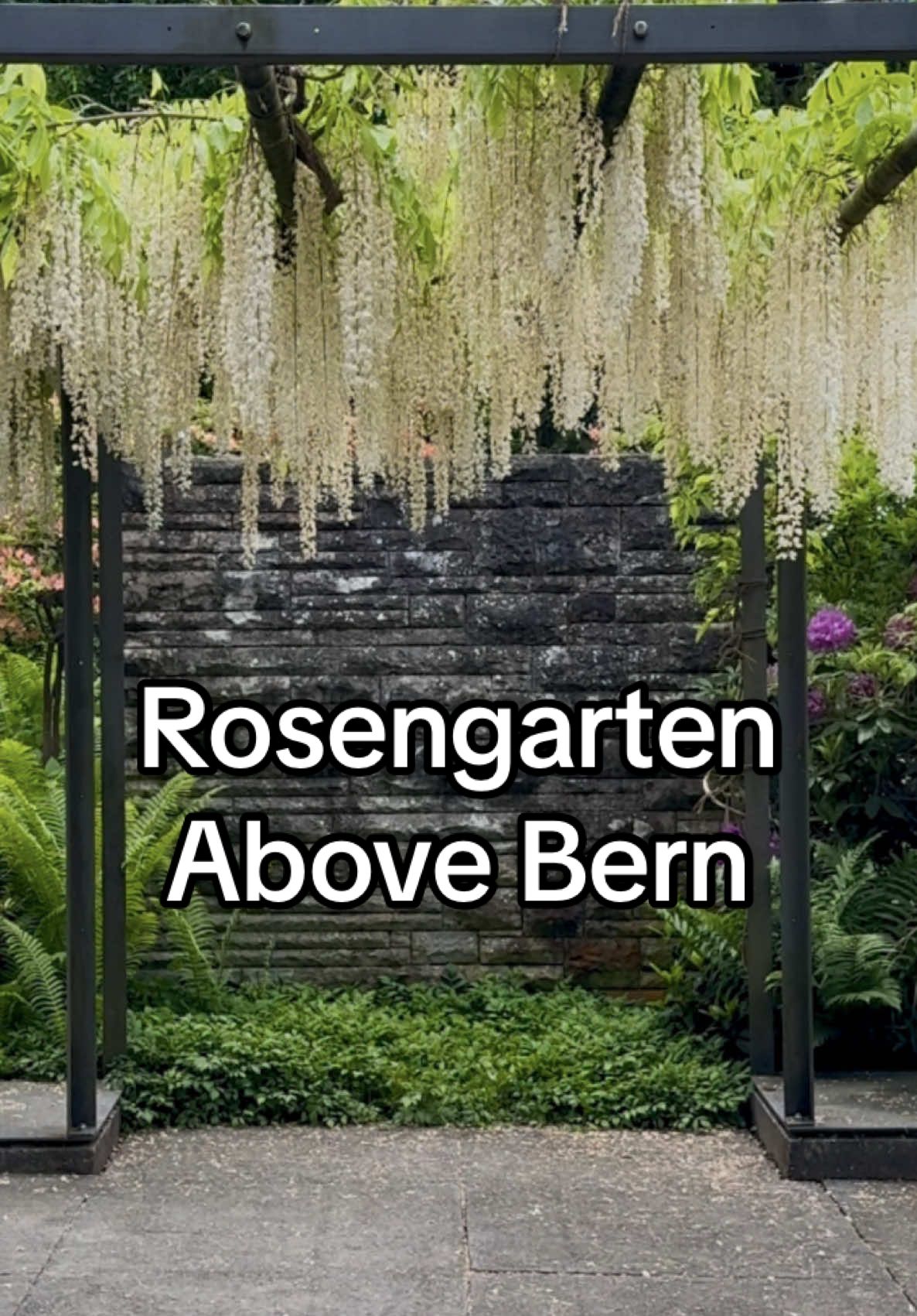 Rosengarten (גן הוורדים) עם תצפית על העיר