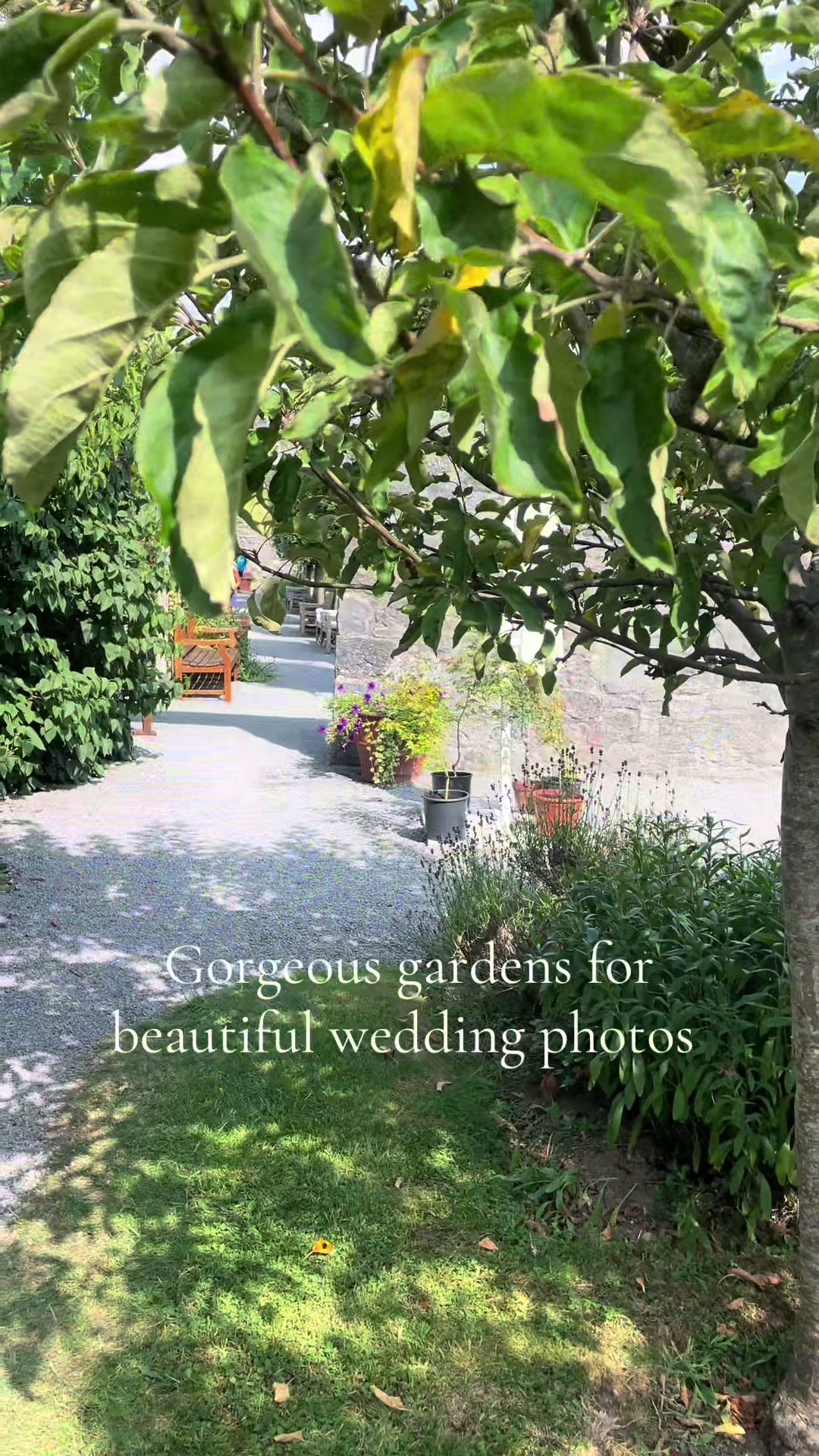 Rothe House & Garden