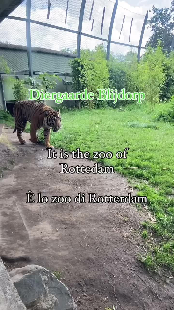 Rotterdam Zoo (Diergaarde Blijdorp)