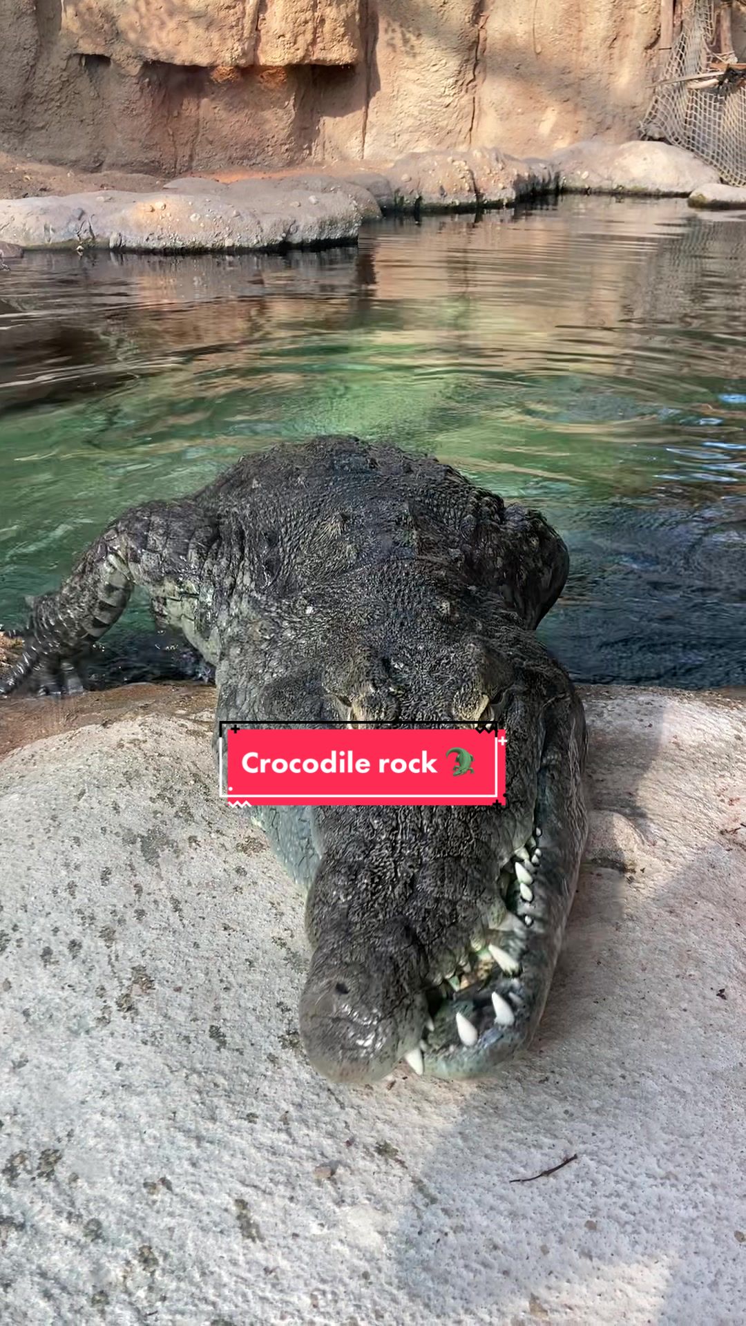 Rotterdam Zoo (Diergaarde Blijdorp)