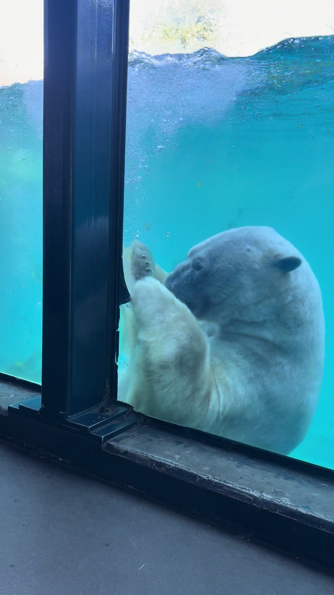 Rotterdam Zoo (Diergaarde Blijdorp)