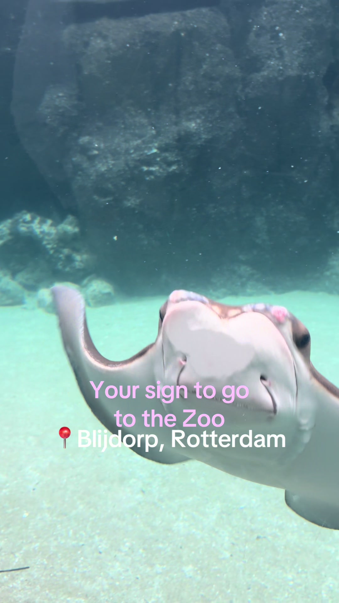 Rotterdam Zoo (Diergaarde Blijdorp)
